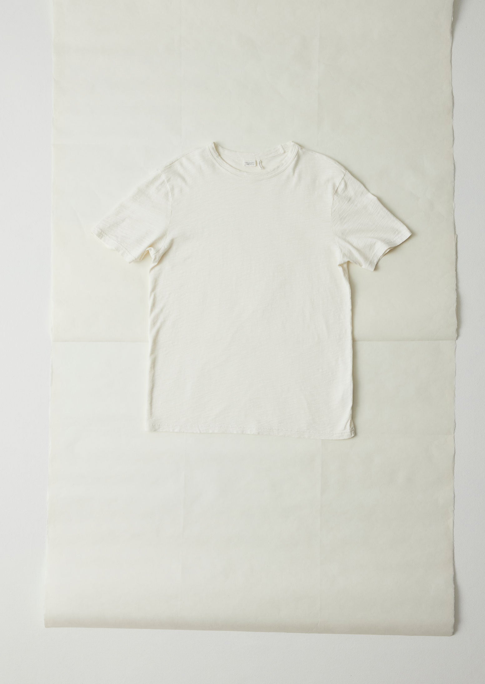 Theo Organic Cotton Short Sleeve Tee | Chalk | TOAST