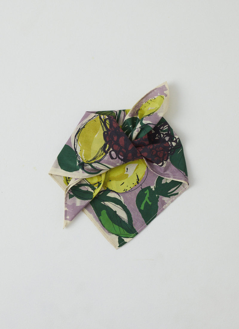 Sketched Fruit Cotton Silk Bandana | Thistle