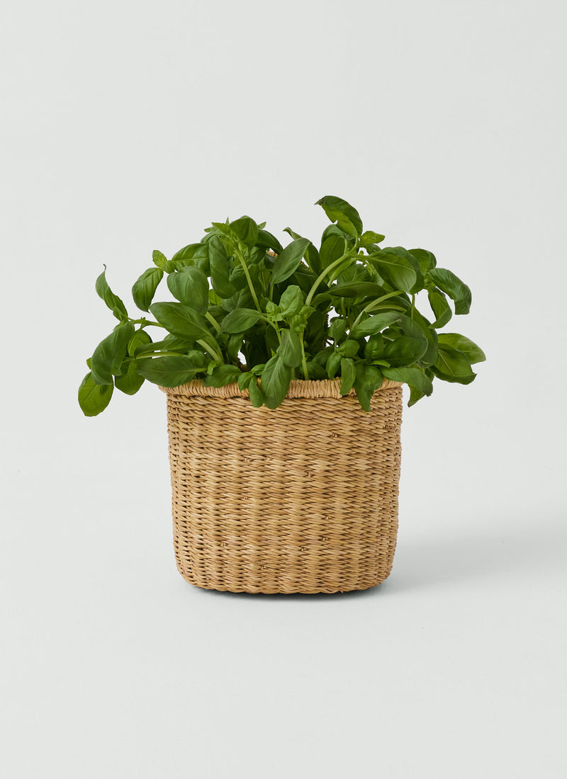 Veta Vera Grass Hanging Storage Basket | Natural