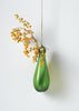 Teardrop Hanging Vase | Bottle Green