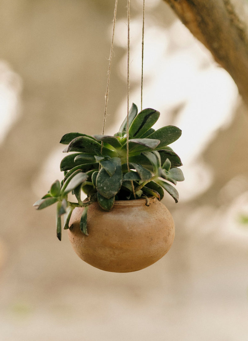 terracotta hanging planter Lata Terracotta Hanging Planter Set | Terracotta