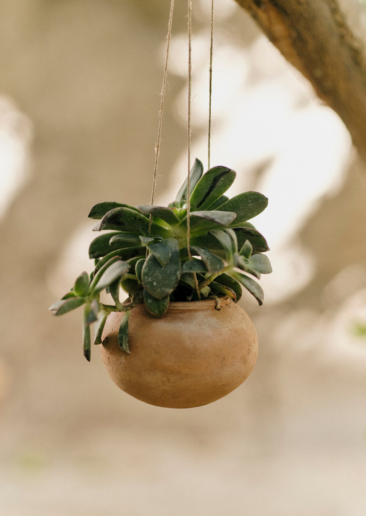 Lata Terracotta Hanging Planter Set | Terracotta