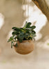 Lata Terracotta Hanging Planter Set | Terracotta