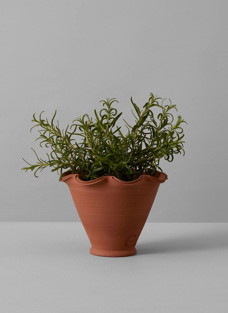 plant terracotta pot Willow Pottery Terracotta Planter | Terracotta
