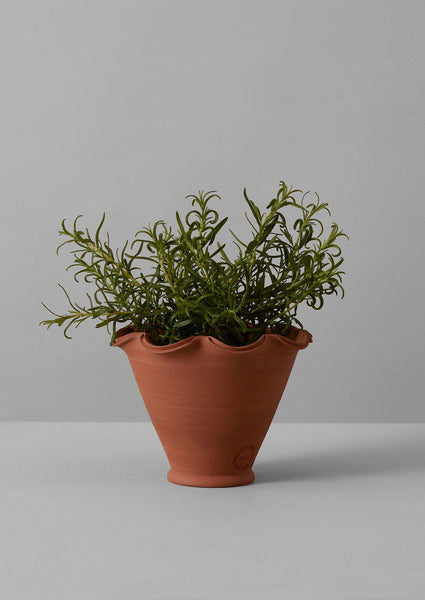Terracotta Planter Terracotta