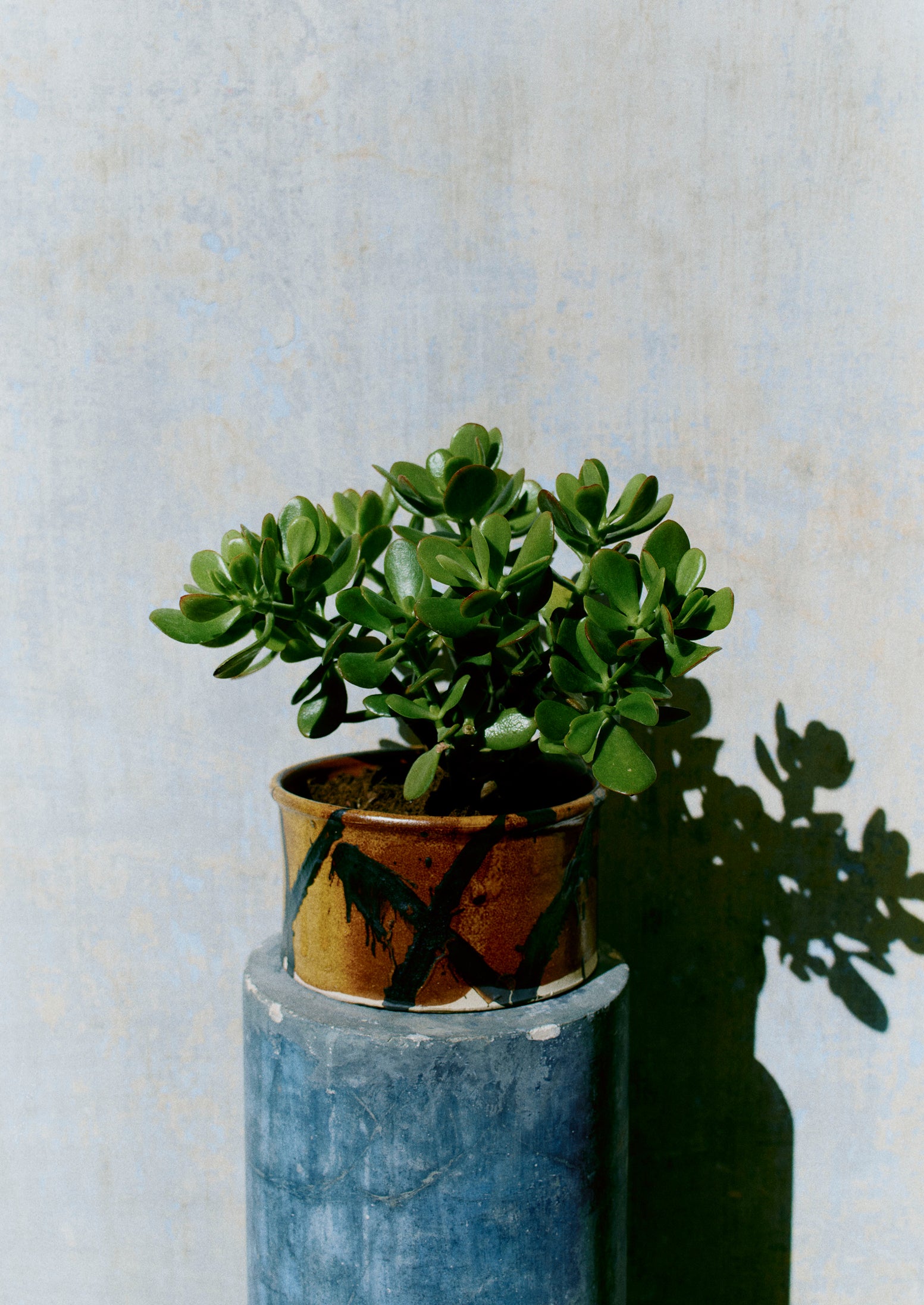 Hoxton Gardenware Large Slipware Planter | Honey | TOAST