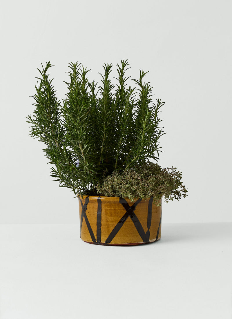 Hoxton Gardenware Large Slipware Planter | Honey