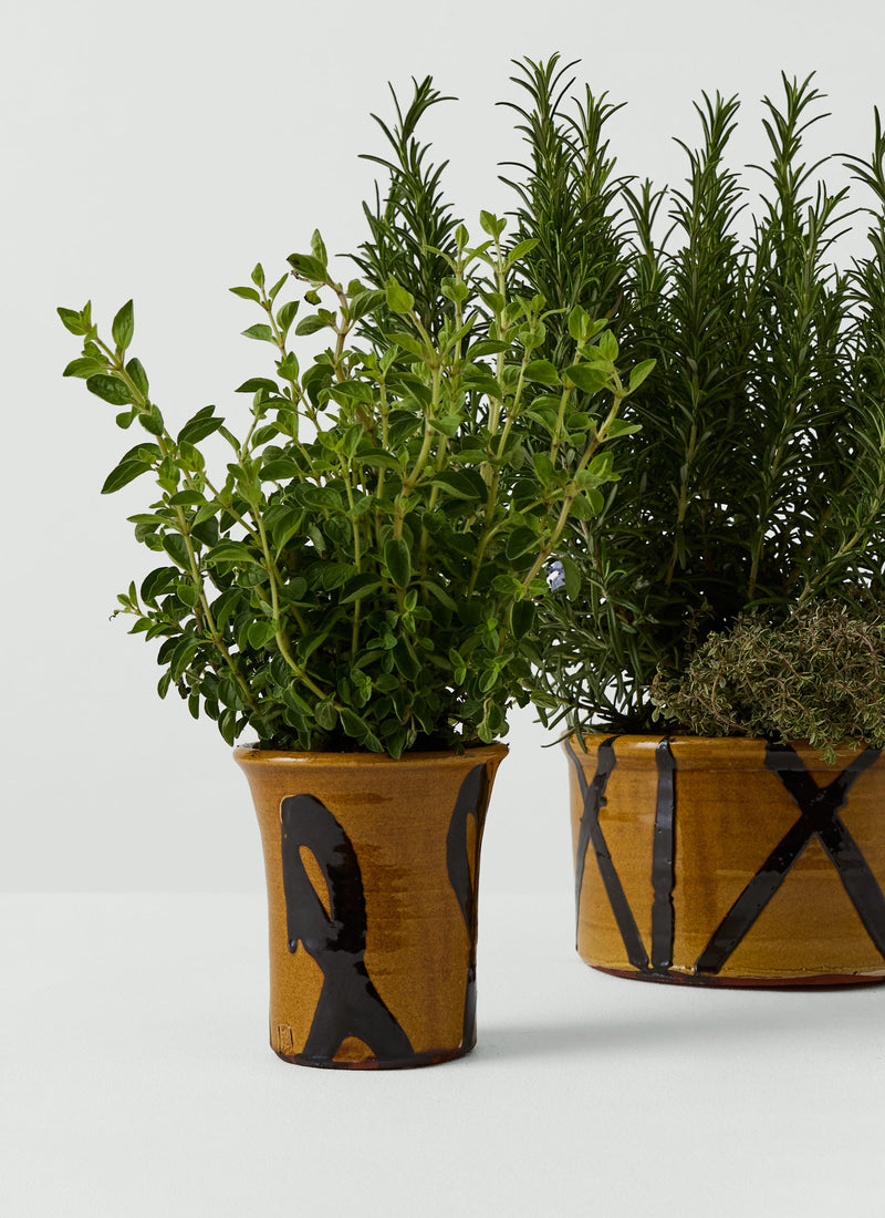 Hoxton Gardenware Small Slipware Planter | Honey
