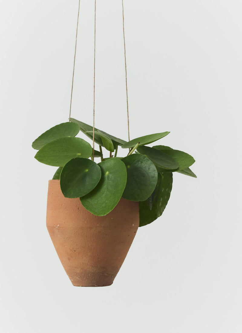 Soller Terracotta Hanging Planter Set | Terracotta