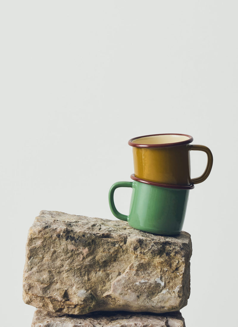 Contrast Rim Enamel Mug | Mint/Chestnut