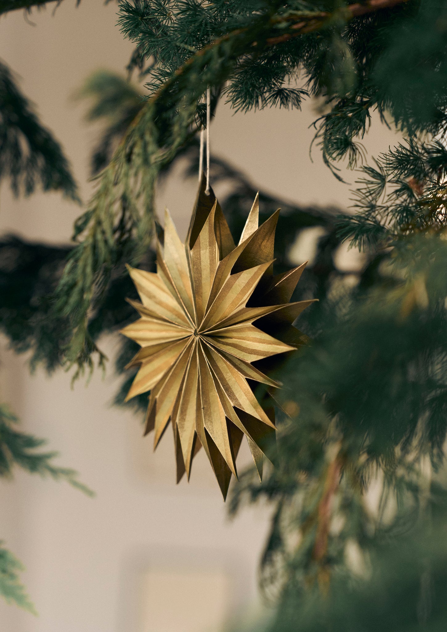 Striped Lokta Paper Star Set | Multi