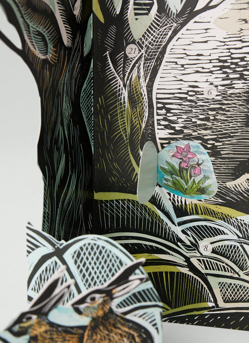 Angela Harding Midnight Fox Advent Calendar | Multi