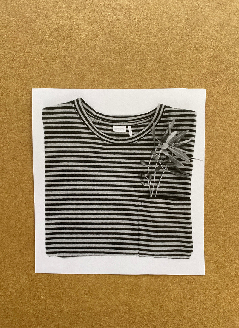 Bold Stripe Cotton Short Sleeve Tee | Azure Blue/Tawny Brown