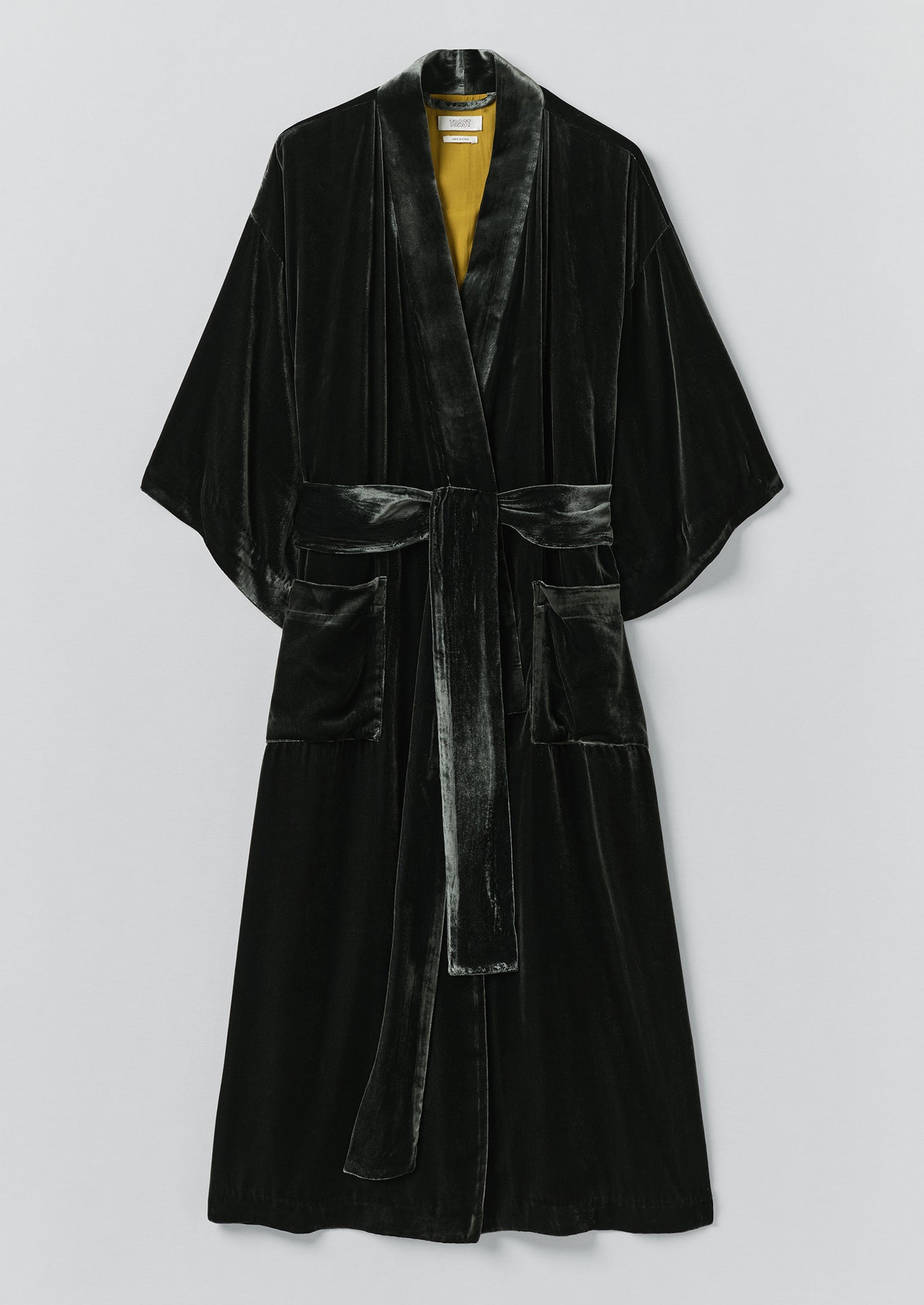 Silk Velvet Gown | Jackdaw