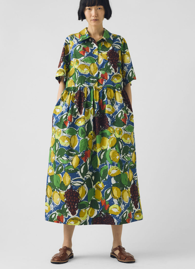 Selma Sketched Fruit Print Shirt Dress | Verdigris/Multi