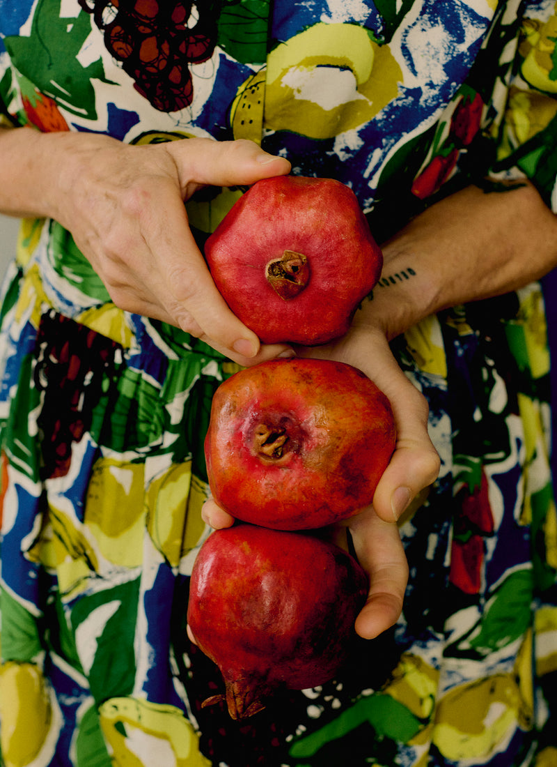 Selma Sketched Fruit Print Shirt Dress | Verdigris/Multi