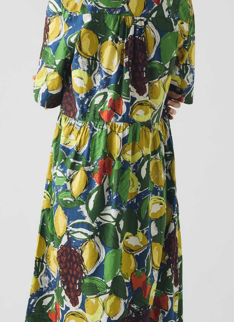 Selma Sketched Fruit Print Shirt Dress | Verdigris/Multi