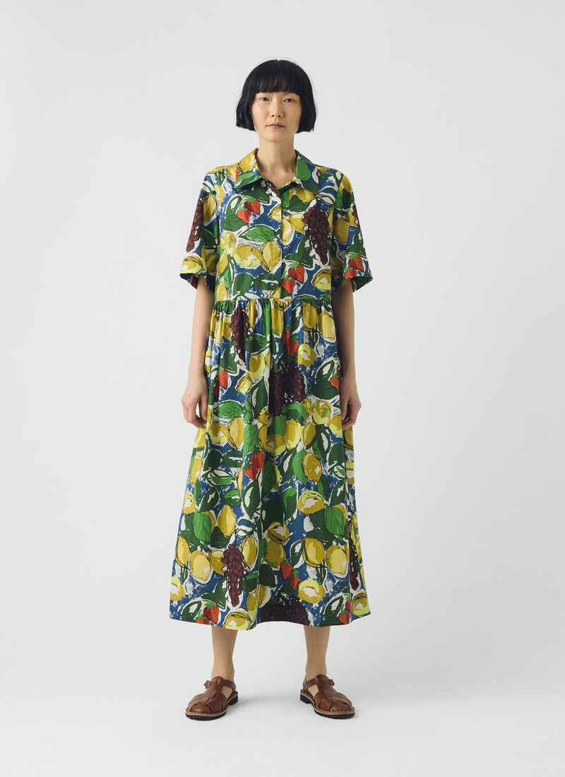 Selma Sketched Fruit Print Shirt Dress | Verdigris/Multi