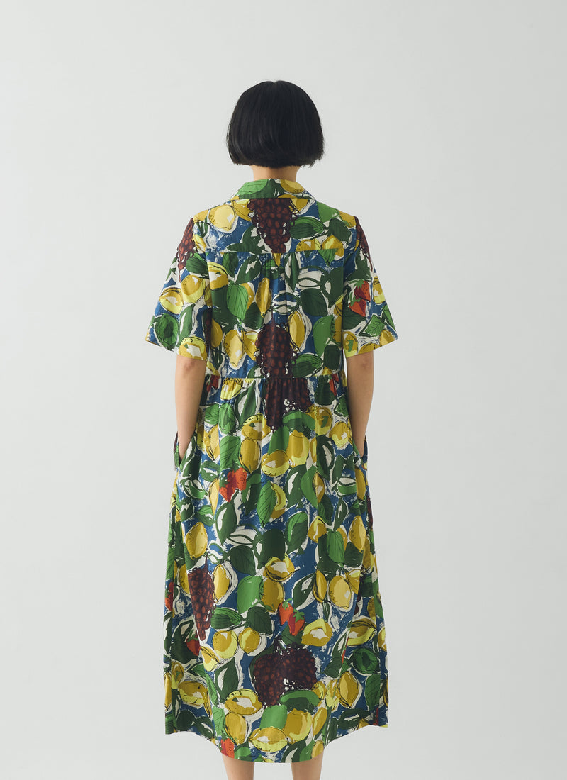Selma Sketched Fruit Print Shirt Dress | Verdigris/Multi