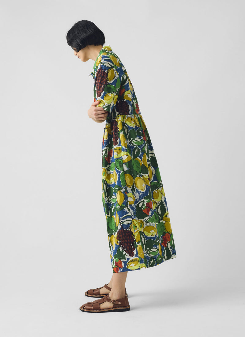 Selma Sketched Fruit Print Shirt Dress | Verdigris/Multi