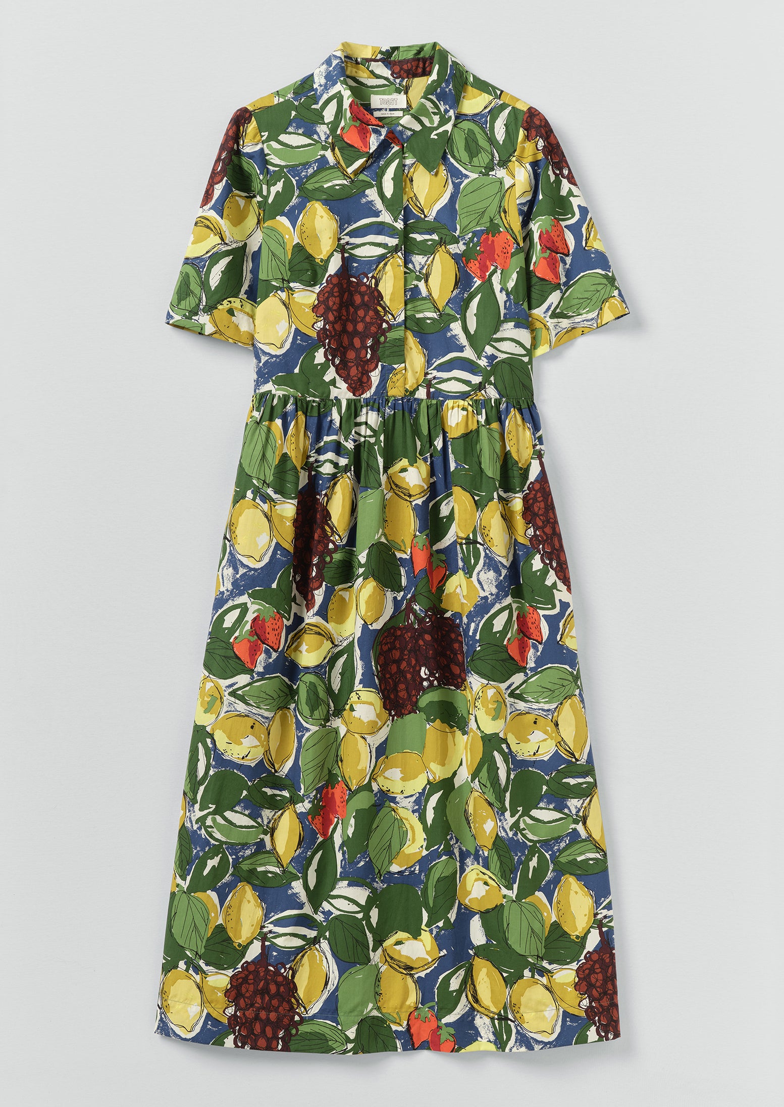 Selma Sketched Fruit Print Shirt Dress | Verdigris/Multi | TOAST