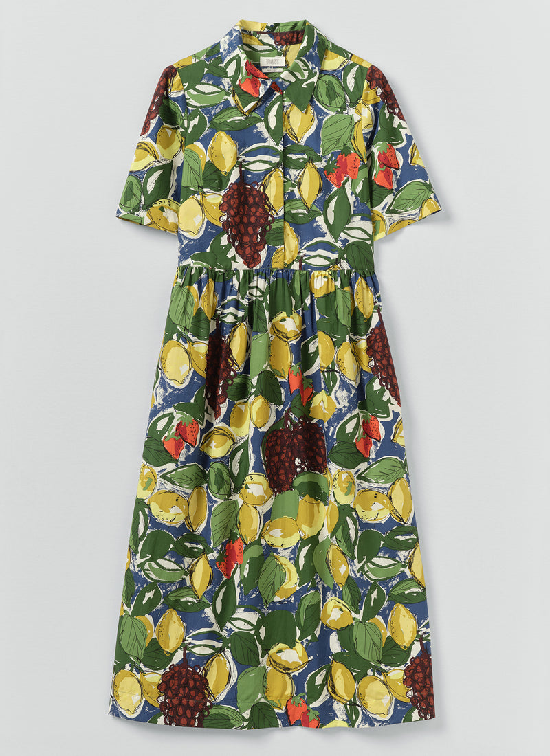 Selma Sketched Fruit Print Shirt Dress | Verdigris/Multi