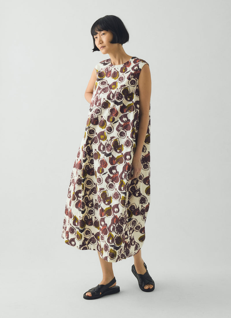 Fig Print Cotton Poplin Dress | Chalk