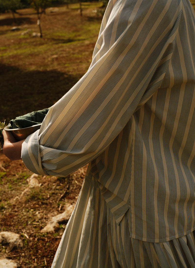 Catrin Cotton Striped Shirt | Ecru/Blue